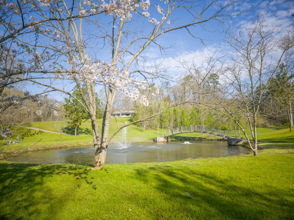 Wildwood campus pond with a fountain, grassy banks, and flowering trees