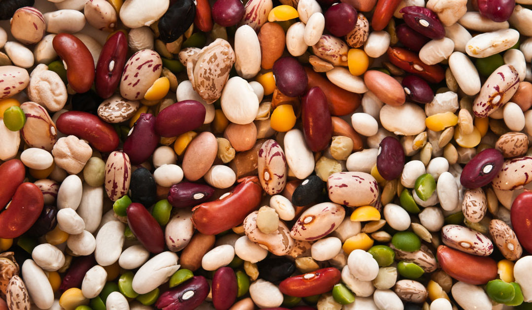 Plant-Based Protein: IS IT ENOUGH?