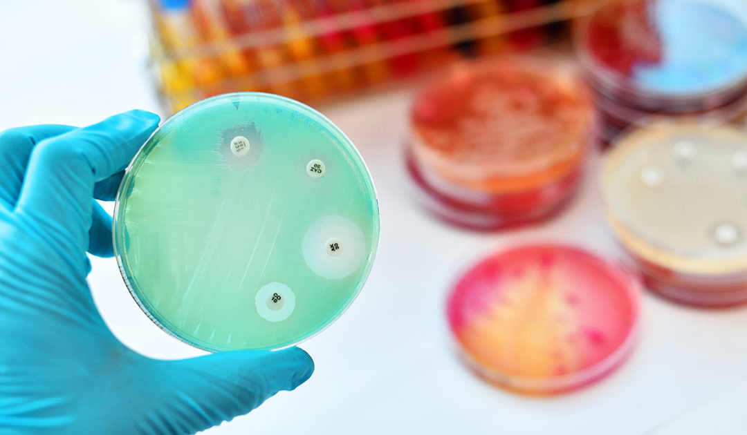 Protect Yourself from the Next Superbug! Part 1