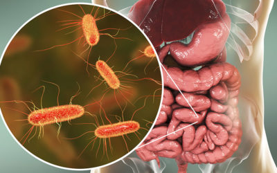 Twelve Natural Ways to Improve Gut Health